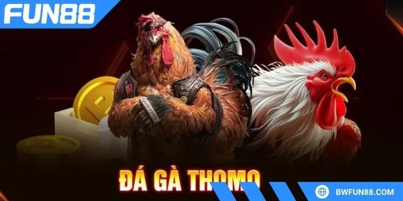 da-ga-truc-tiep-thomo-tim-hieu